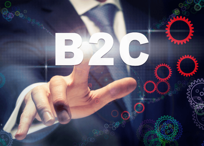 B2C E-Ticaret Sitesi Nasıl Kurulur?