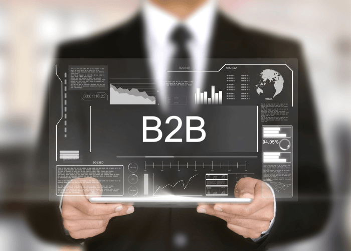 B2B E-Ticaret Sitesi Kurma Rehberi